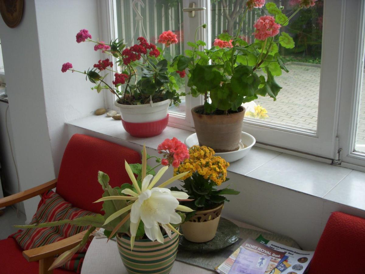 Garden Szivarvany Utcai Vendeghaz Guest house Szeged