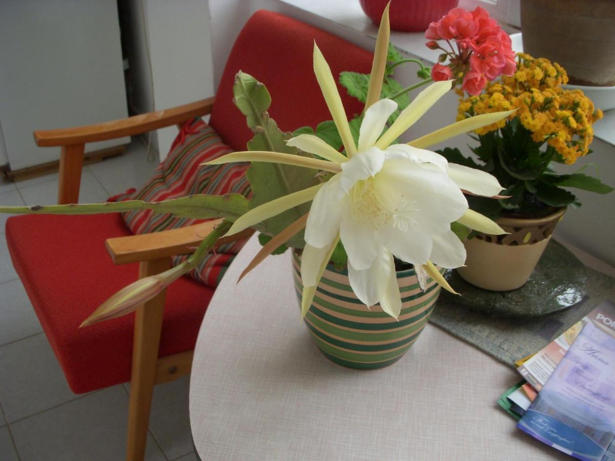 Garden Szivarvany Utcai Vendeghaz Guest house 3*