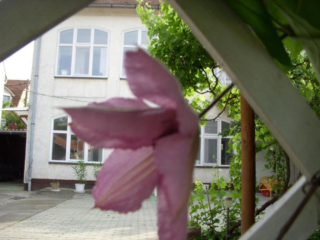 Garden Szivarvany Utcai Vendeghaz Guest house 3*